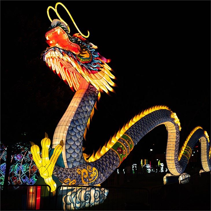 Festival Light Show Lanterne traditionnelle chinoise du dragon rouge