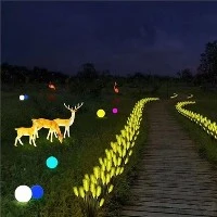 Spectacle de lanternes de Noël
